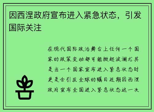 因西涅政府宣布进入紧急状态，引发国际关注