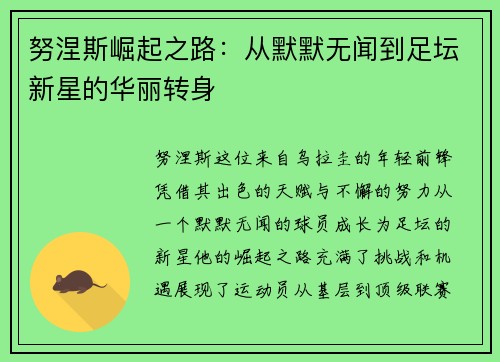 努涅斯崛起之路：从默默无闻到足坛新星的华丽转身