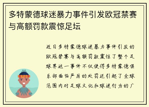 多特蒙德球迷暴力事件引发欧冠禁赛与高额罚款震惊足坛